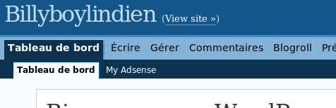 screen wordpress admin